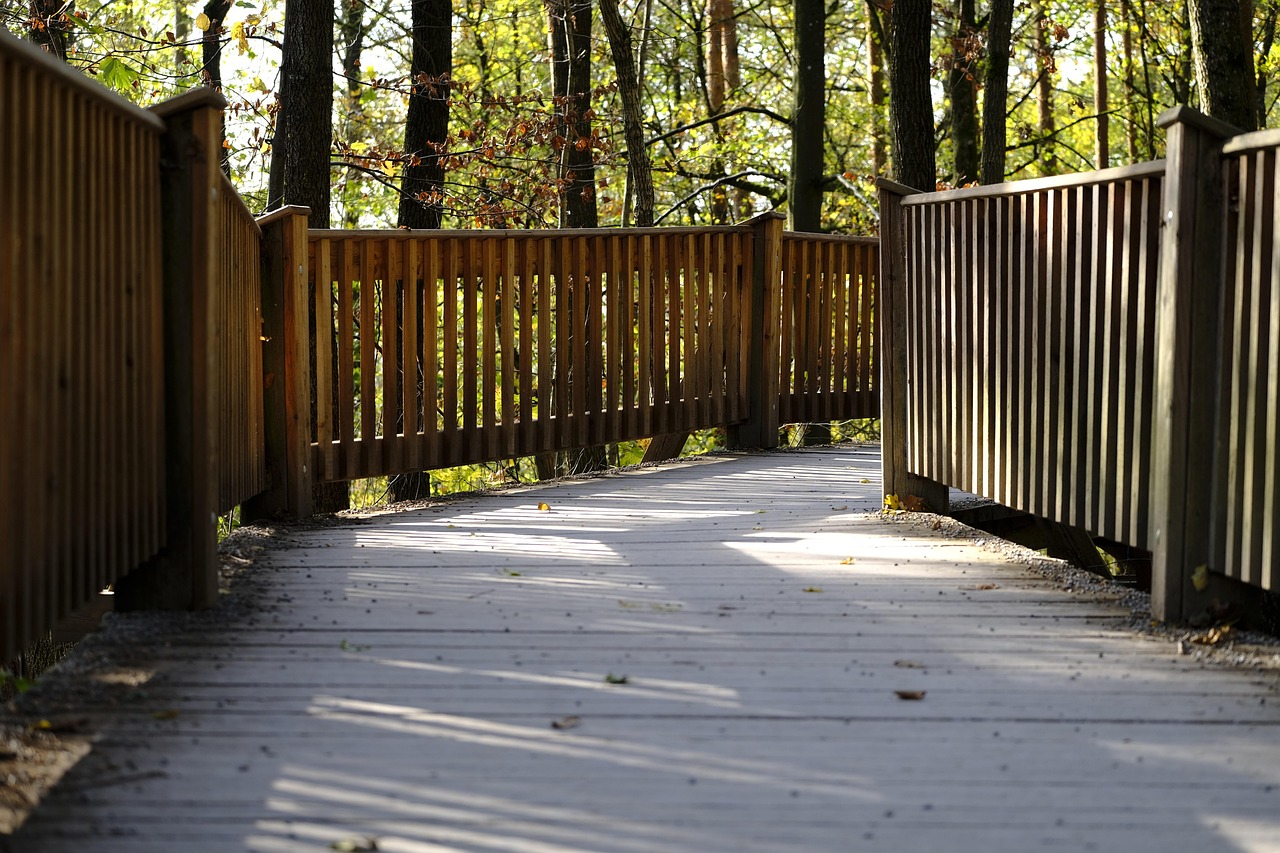 Telegram云控系统实名账号：实名制度下的网络游戏管理方式