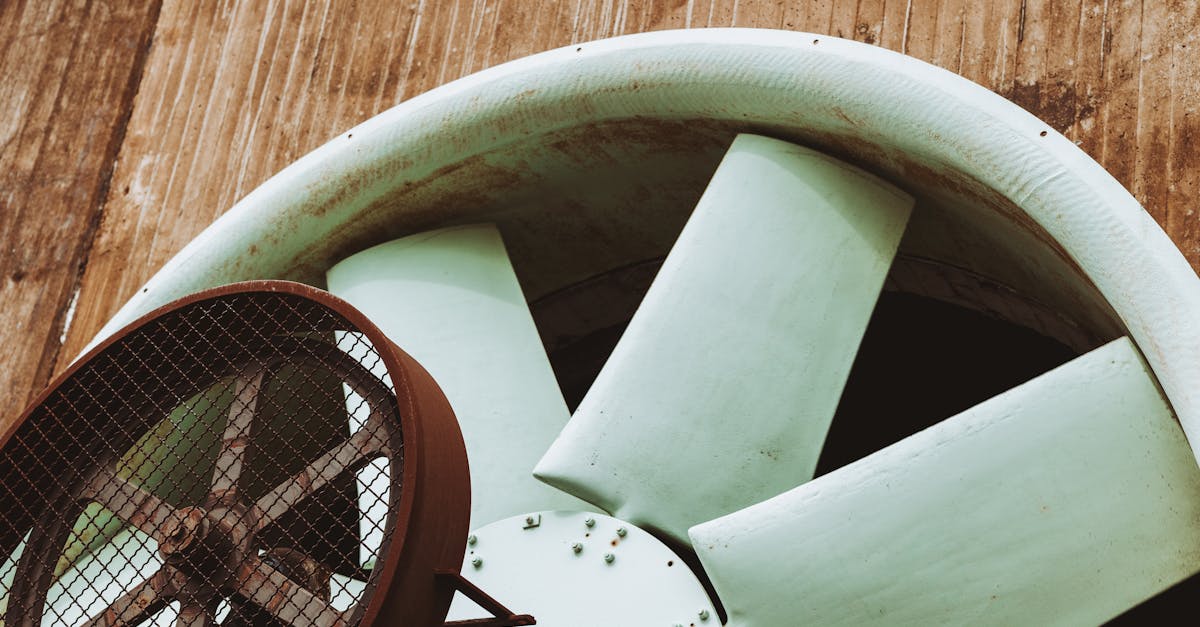 TRAHA全球版：微盘代理平台正规