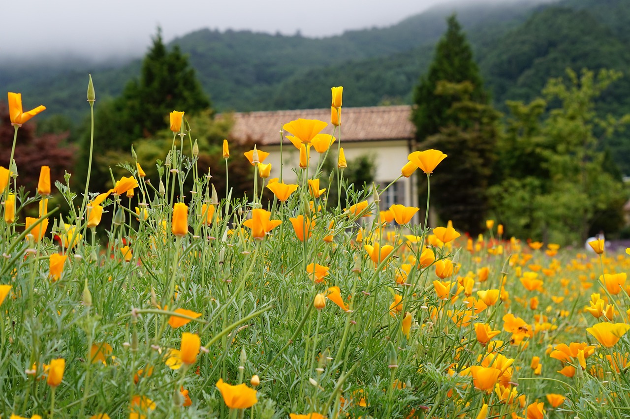如何建立起品牌忠诚度