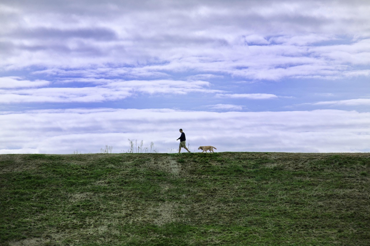 如何在Google中获得好的排名？