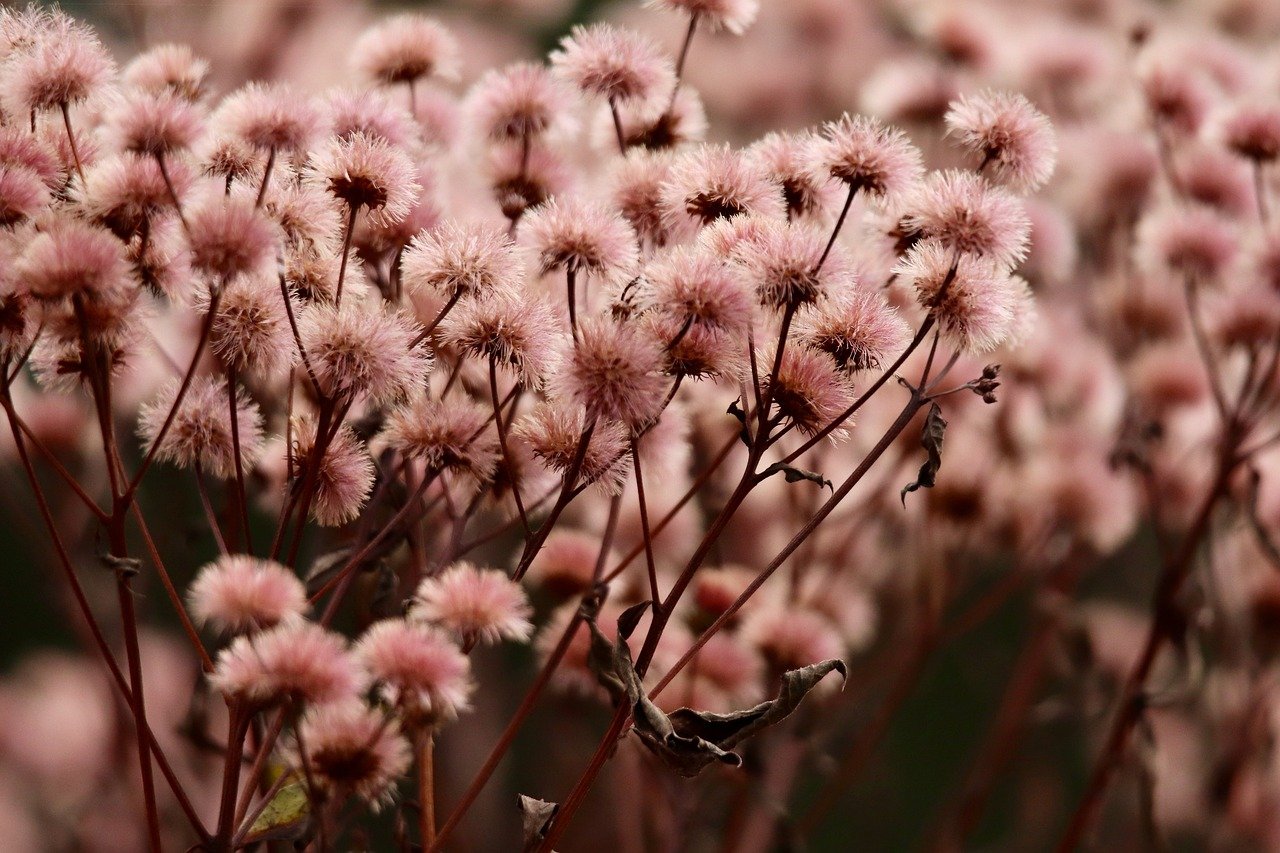 物联卡那个卡好：短信验证码应用的代价与收益分析