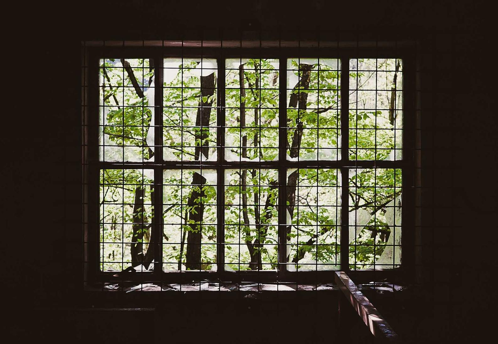 欧盟寿百年（黑寿）：江阴公司注册代理