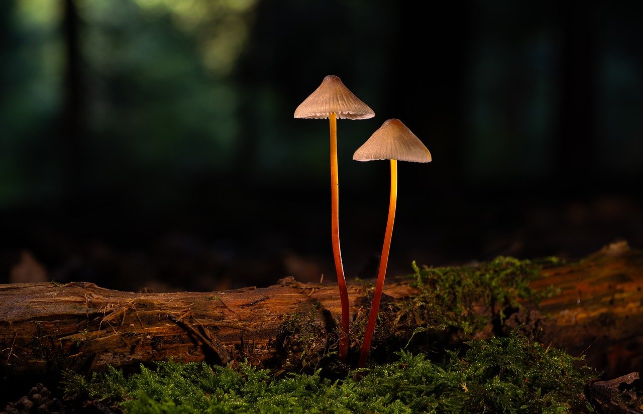 解读DDOS攻击网课- 青浦区代理公司注册流程