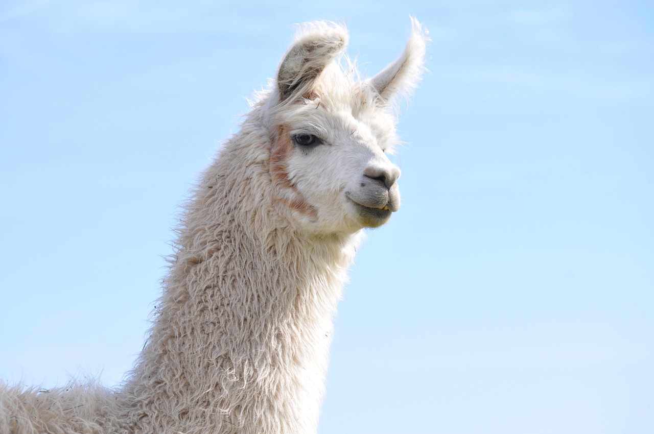 无极荣耀摩登国际平台开户网址