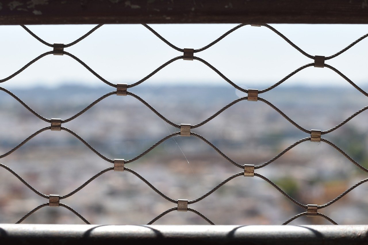 仙弈传说：详情下载教程app疫苗预约