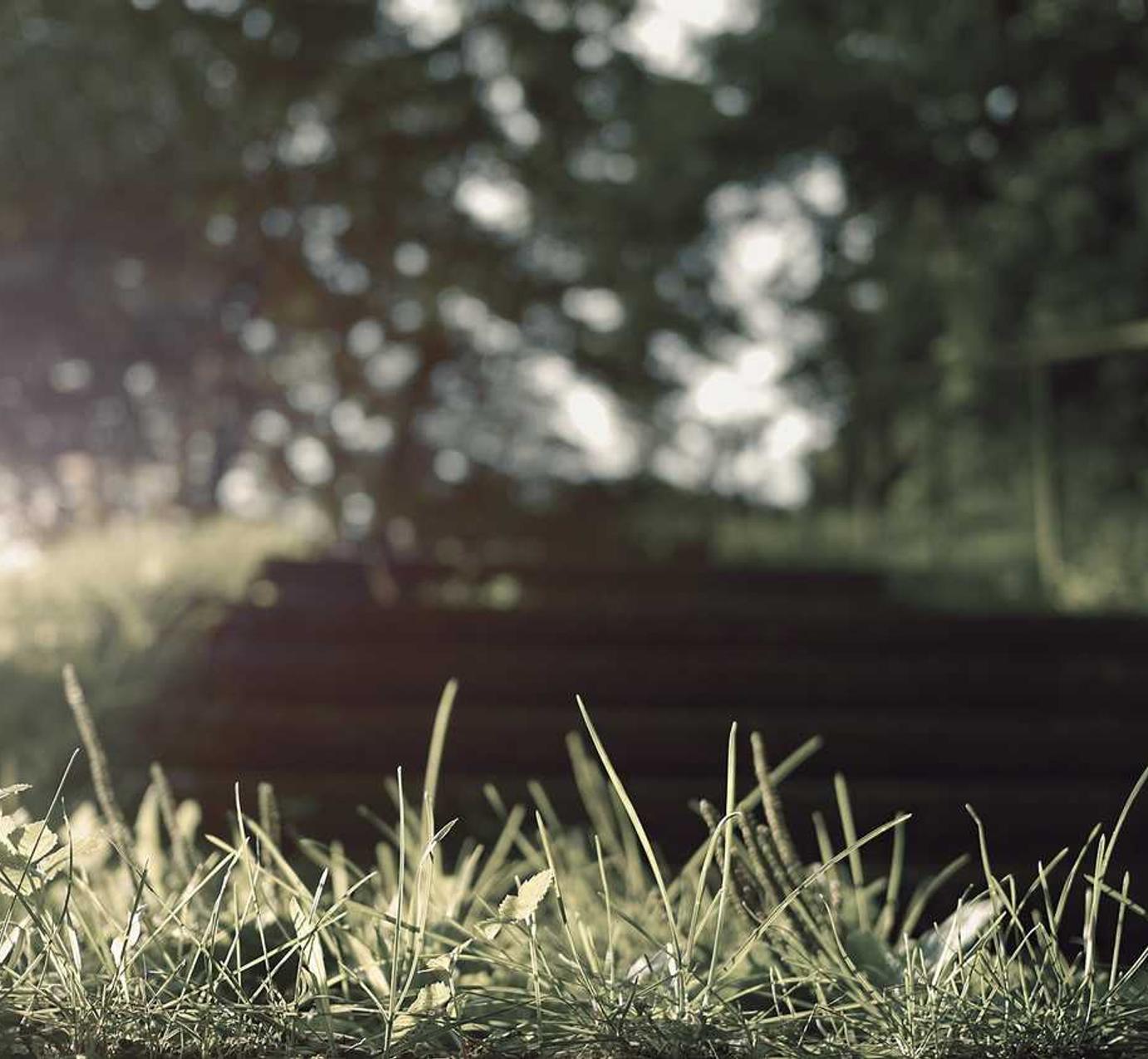 DDOS在线压力测试|代理注册登记公司